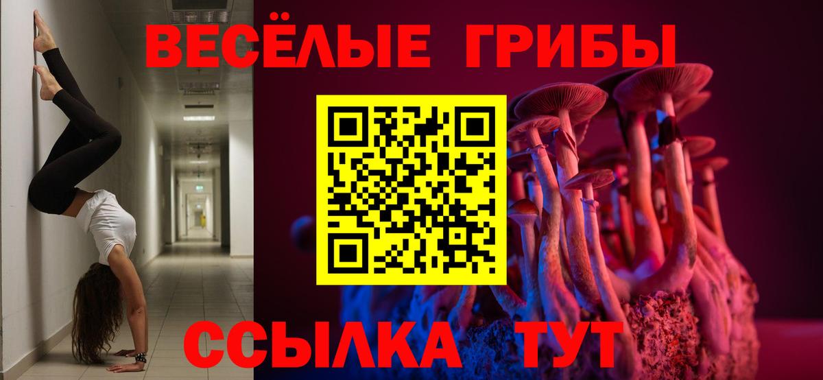 закладка  Вход с VPN  Белово  Псилоцибиновые грибы Psilocybine cubensis 
