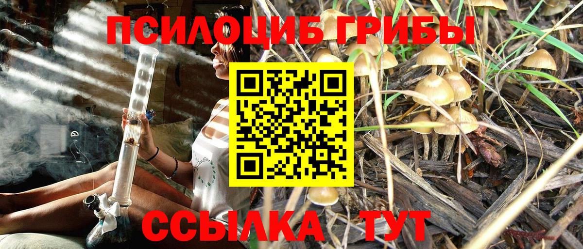 Псилоцибиновые грибы Psilocybine cubensis Белово